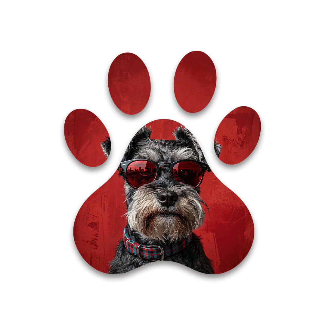 Cuadro Huella de Perro con Gafas | Decoración Urbana