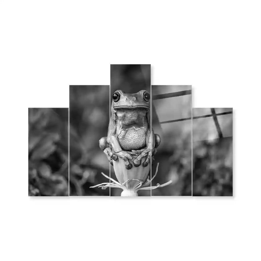 Cuadro de Metacrilato Rana | Decoración en Blanco y Negro