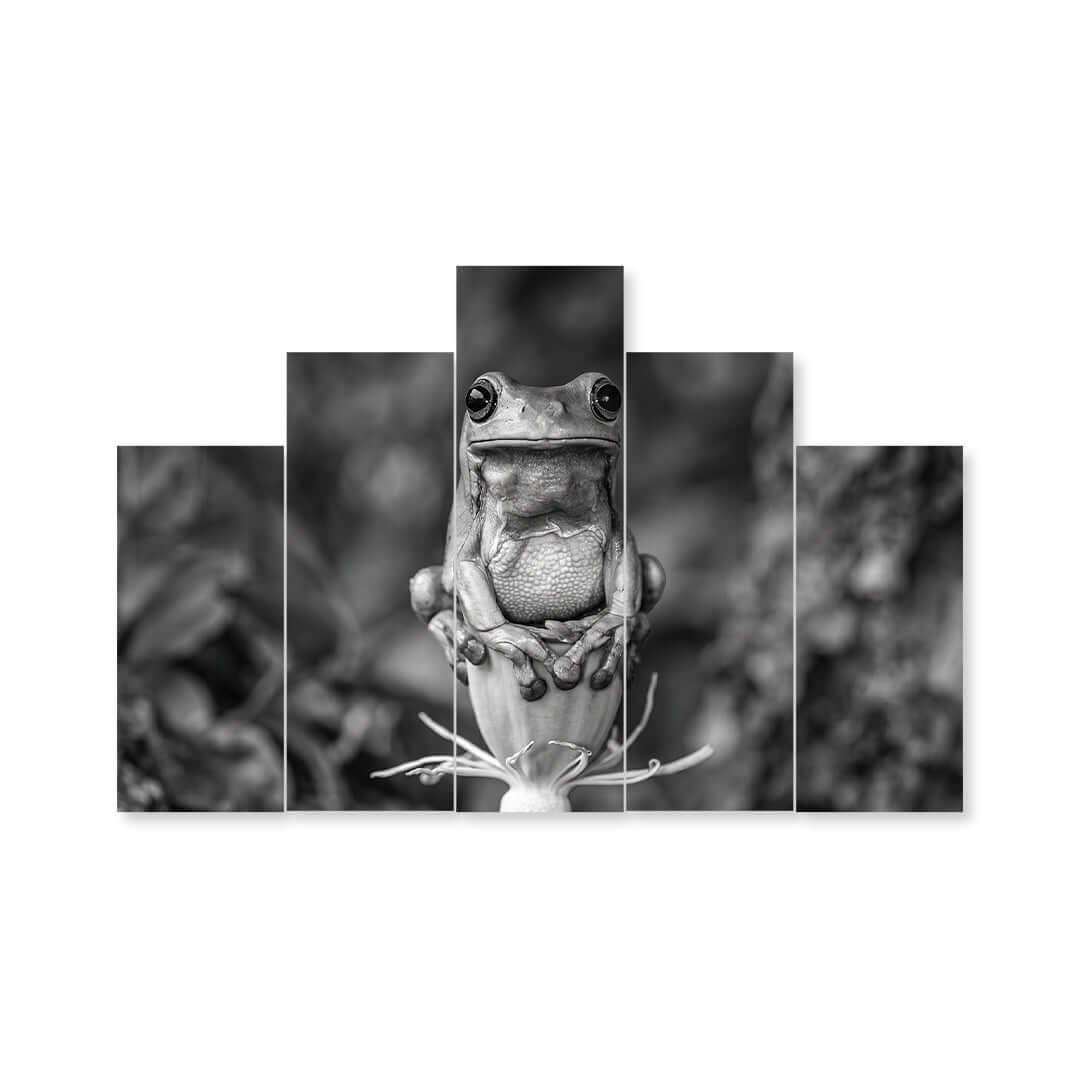 Cuadro de Metacrilato Rana | Decoración en Blanco y Negro
