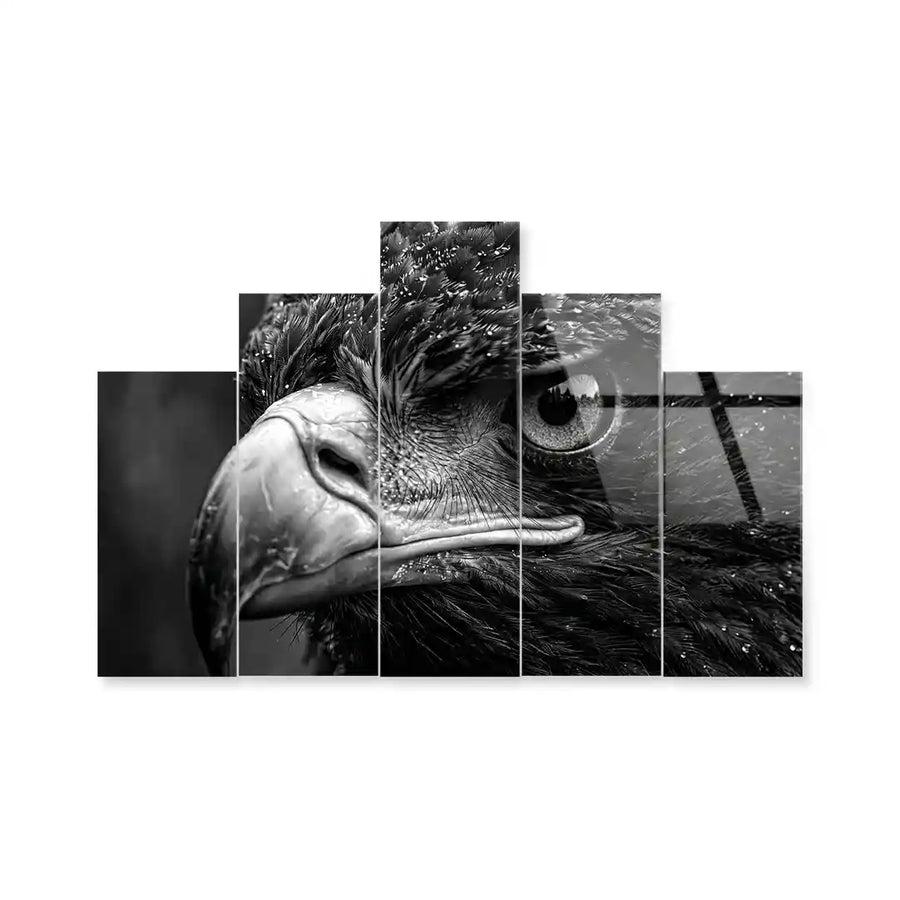Cuadro de Metacrilato Águila | Decoración en Blanco y Negro