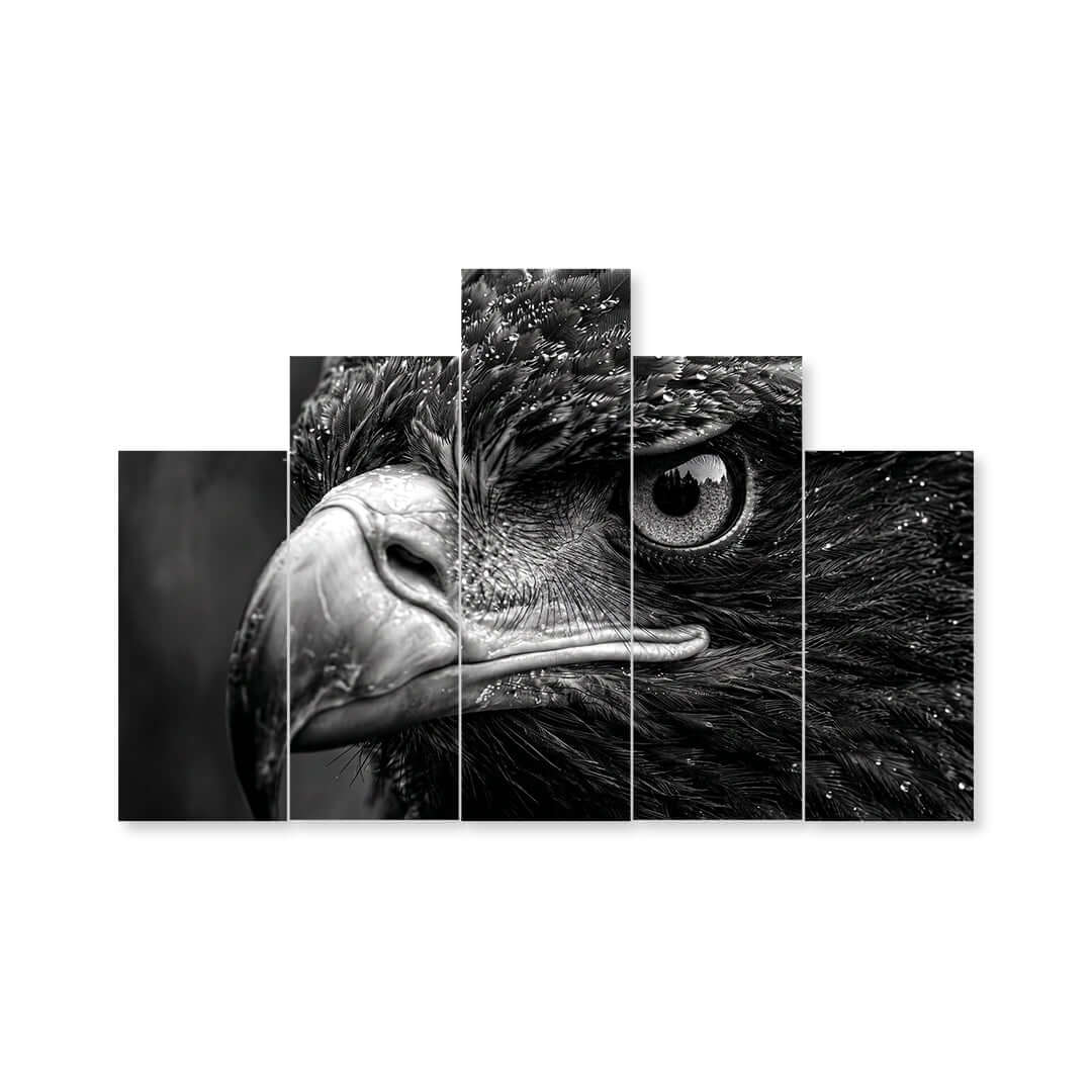 Cuadro de Metacrilato Águila | Decoración en Blanco y Negro