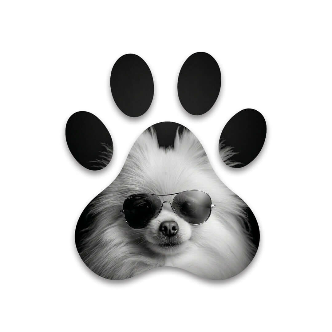 Cuadro Huella de Perro con Gafas | Decoración Moderna