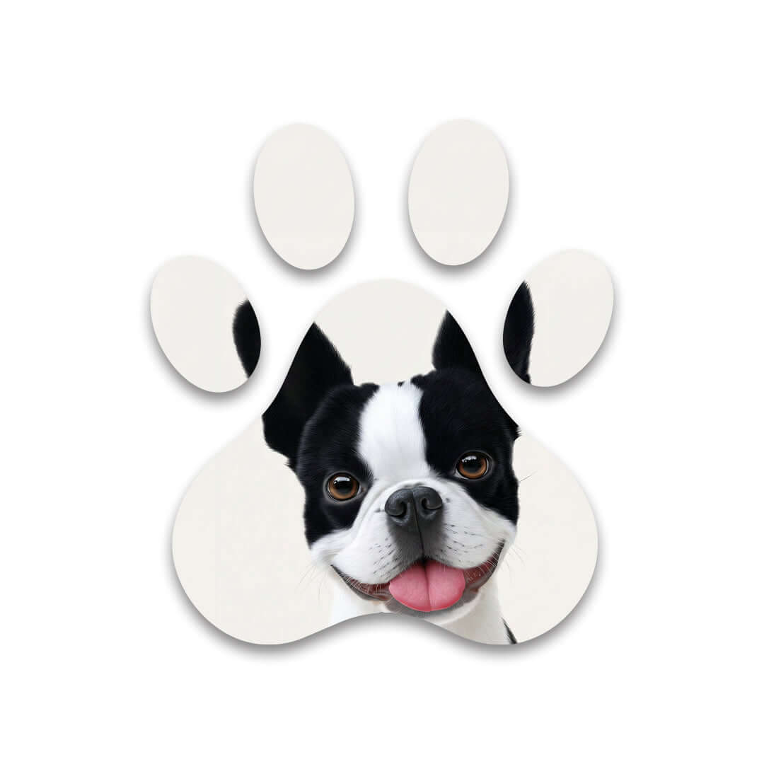 Cuadro Huella de Boston Terrier | Decoración Divertida