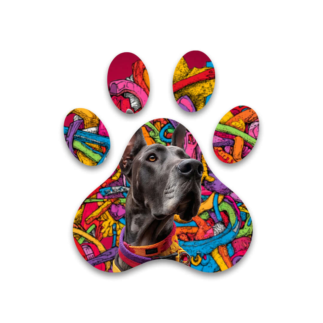 Cuadro Huella de Perro Multicolor | Decoración Urbana