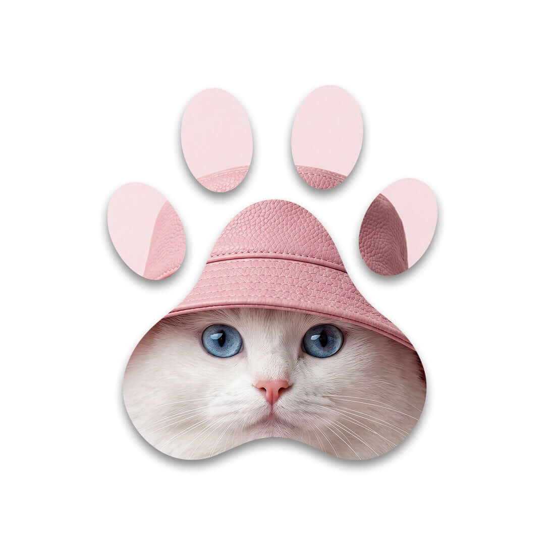 Cuadro Huella de Gato con Sombrero Rosa | Decoración Original