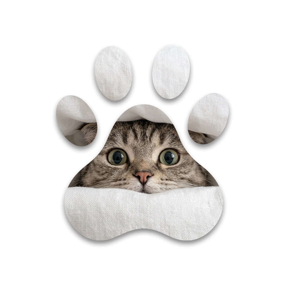 Cuadro Huella de Gato Curioso | Decoración Original
