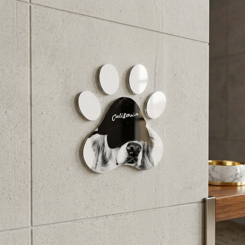 Cuadro Huella de Perro con Gorra | Decoración Urbana