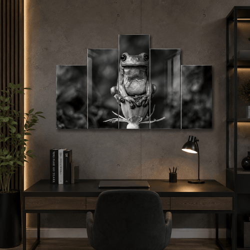 Cuadro de Metacrilato Rana | Decoración en Blanco y Negro