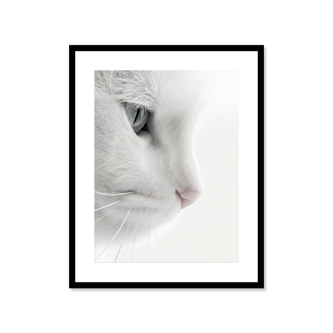 Cuadro Póster Gato Blanco | Decoración Minimalista