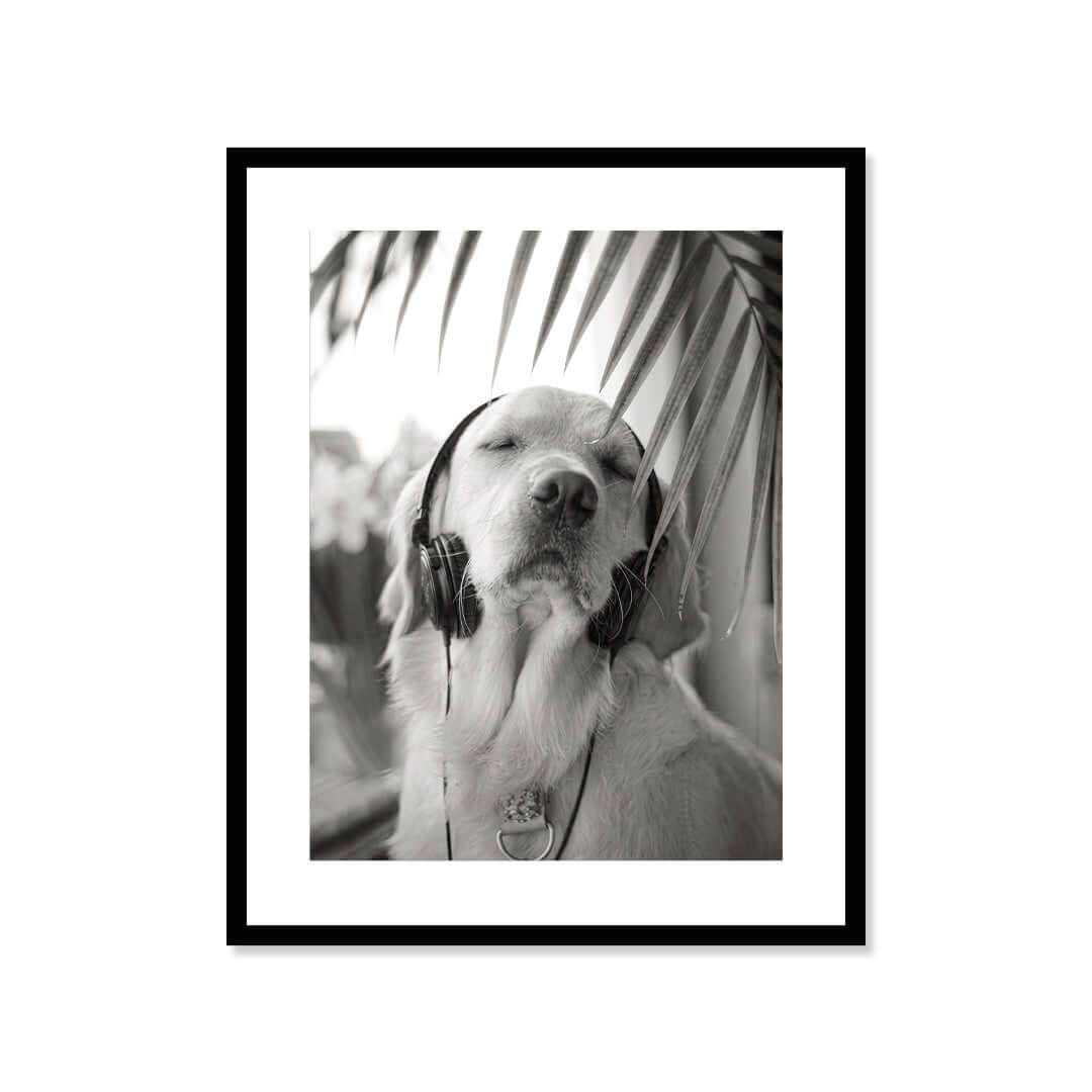 Cuadro Póster Perro en Blanco y Negro | Decoración Elegante