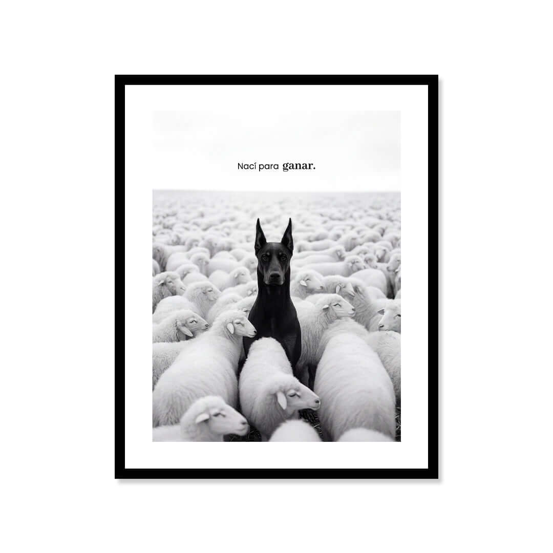 Cuadro Póster Dóberman entre Ovejas | Decoración Moderna