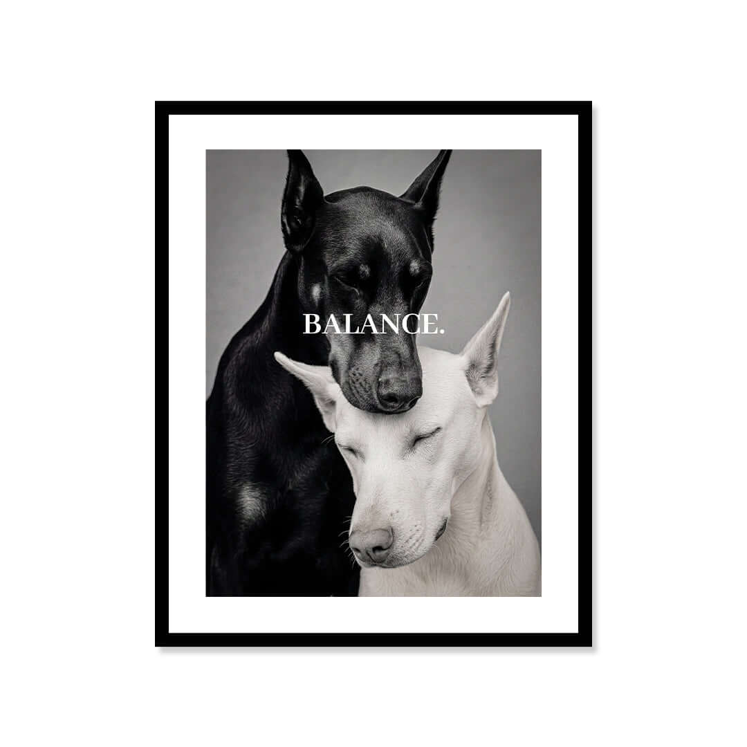 Cuadro Póster Balance | Decoración Moderna con Dóberman