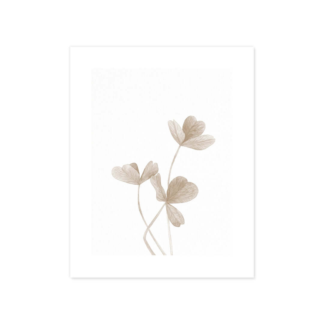 Cuadro Póster Flores Minimalistas | Decoración Beige