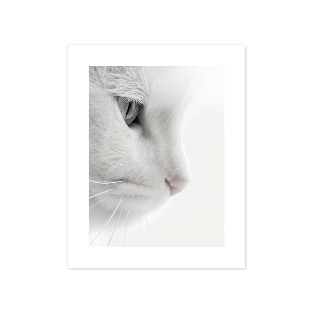 Cuadro Póster Gato Blanco | Decoración Minimalista