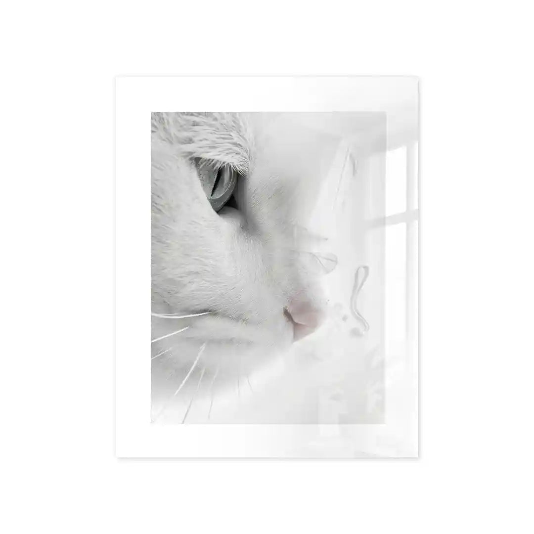 Cuadro Mirada Felina | Pureza Minimalista