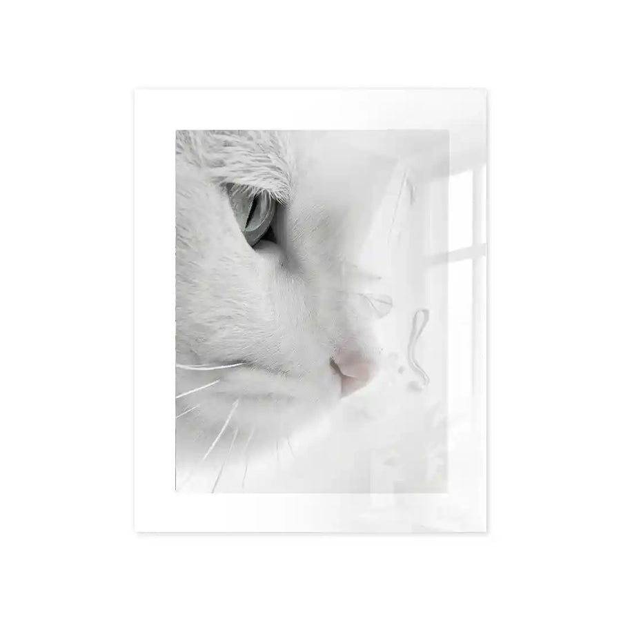 Cuadro Mirada Felina | Pureza Minimalista