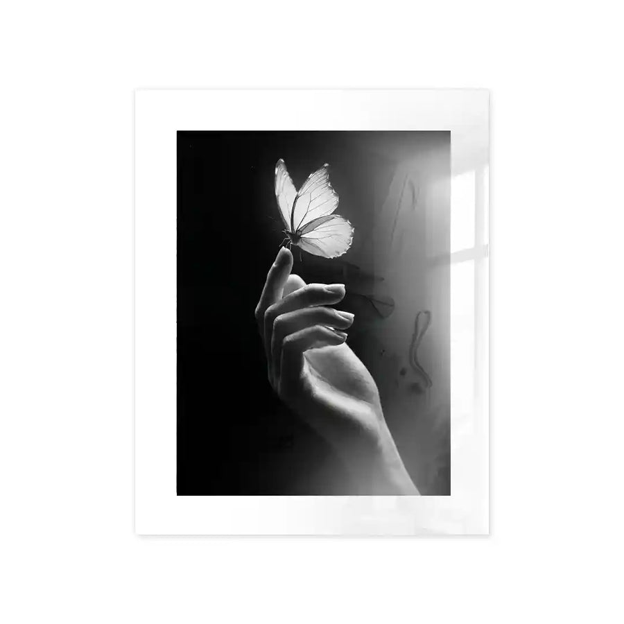 Cuadro Mariposa de Luz | Black & White