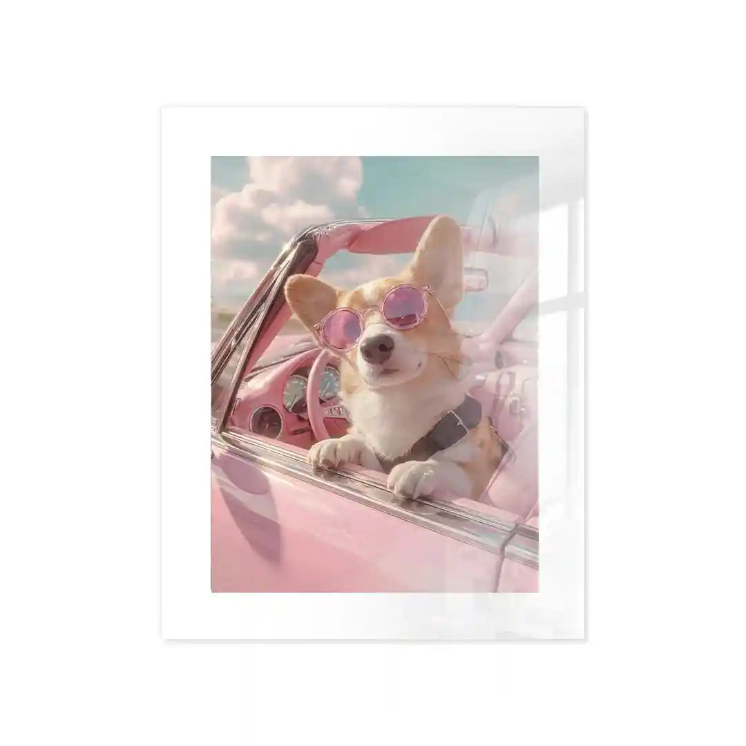 Cuadro Corgi Chic | Paseo Rosa Retro