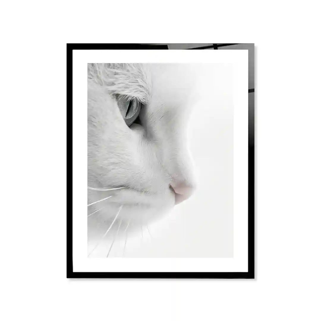 Cuadro Mirada Felina | Pureza Minimalista