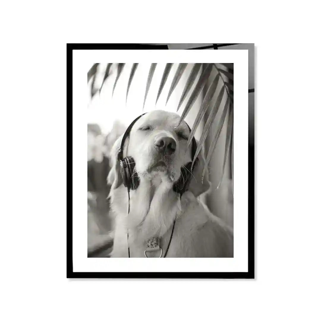 Cuadro Perro con Auriculares | Relax