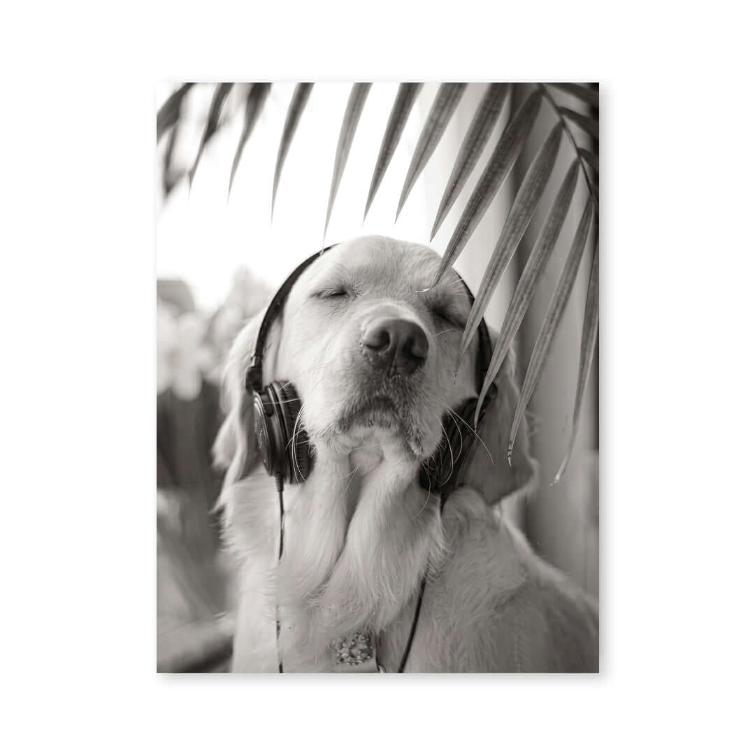Cuadro Póster Perro en Blanco y Negro | Decoración Elegante