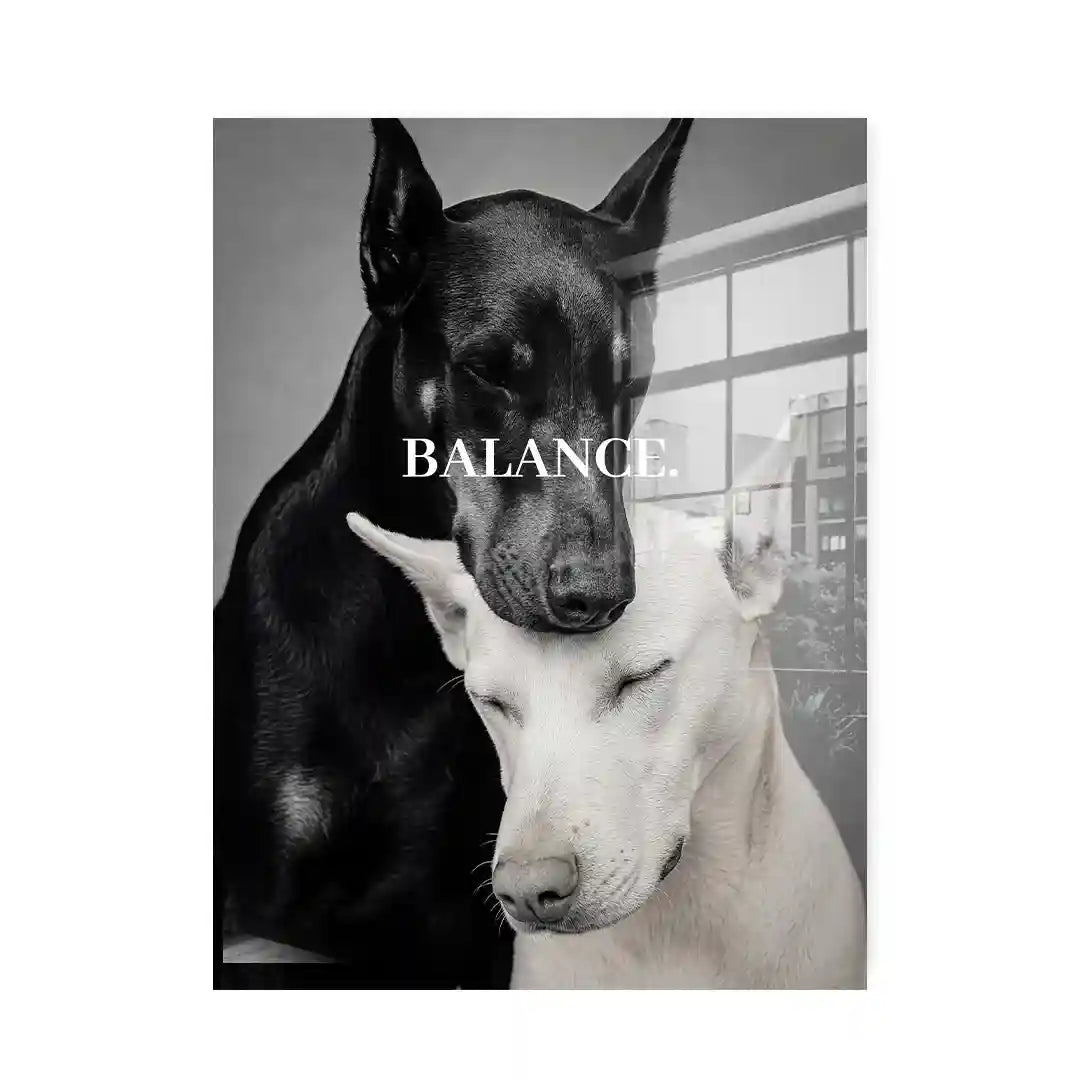 Cuadro Motivacional | Balance