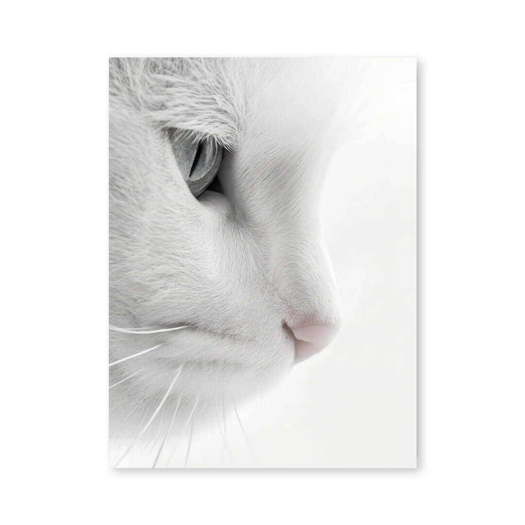 Cuadro Póster Gato Blanco | Decoración Minimalista