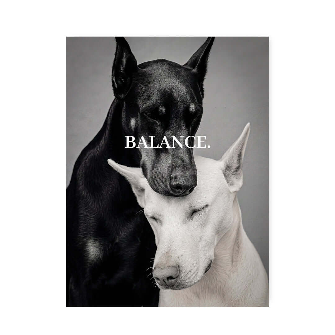 Cuadro Póster Balance | Decoración Moderna con Dóberman