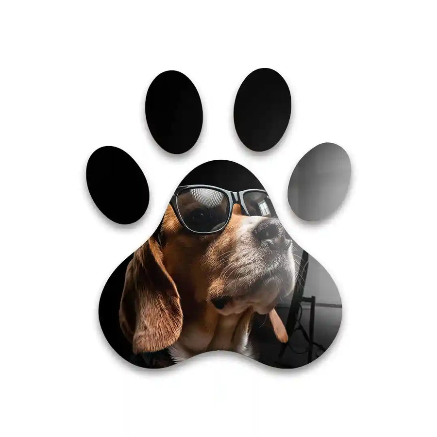 Cuadro Huella Canina | Perro con Gafas | Arte Decorativo Moderno