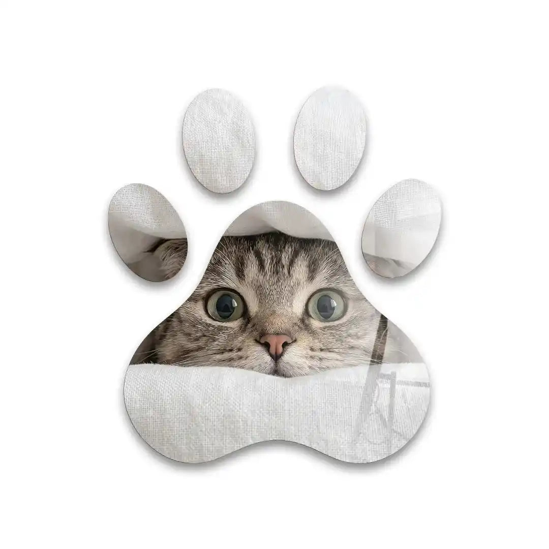 Cuadro Huella Felina | Gato Curioso entre Sábanas