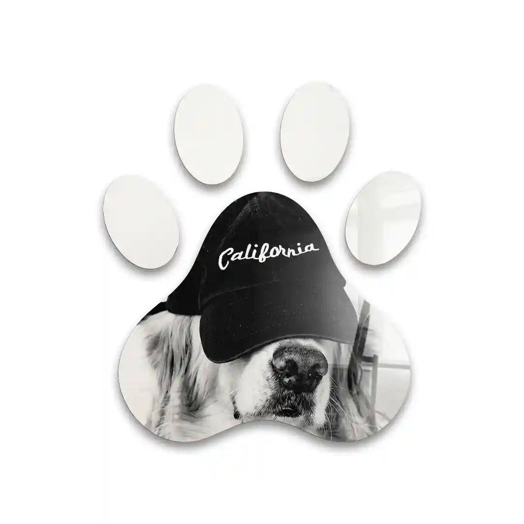Cuadro Huella Canina | Perro California | Arte Decorativo Moderno