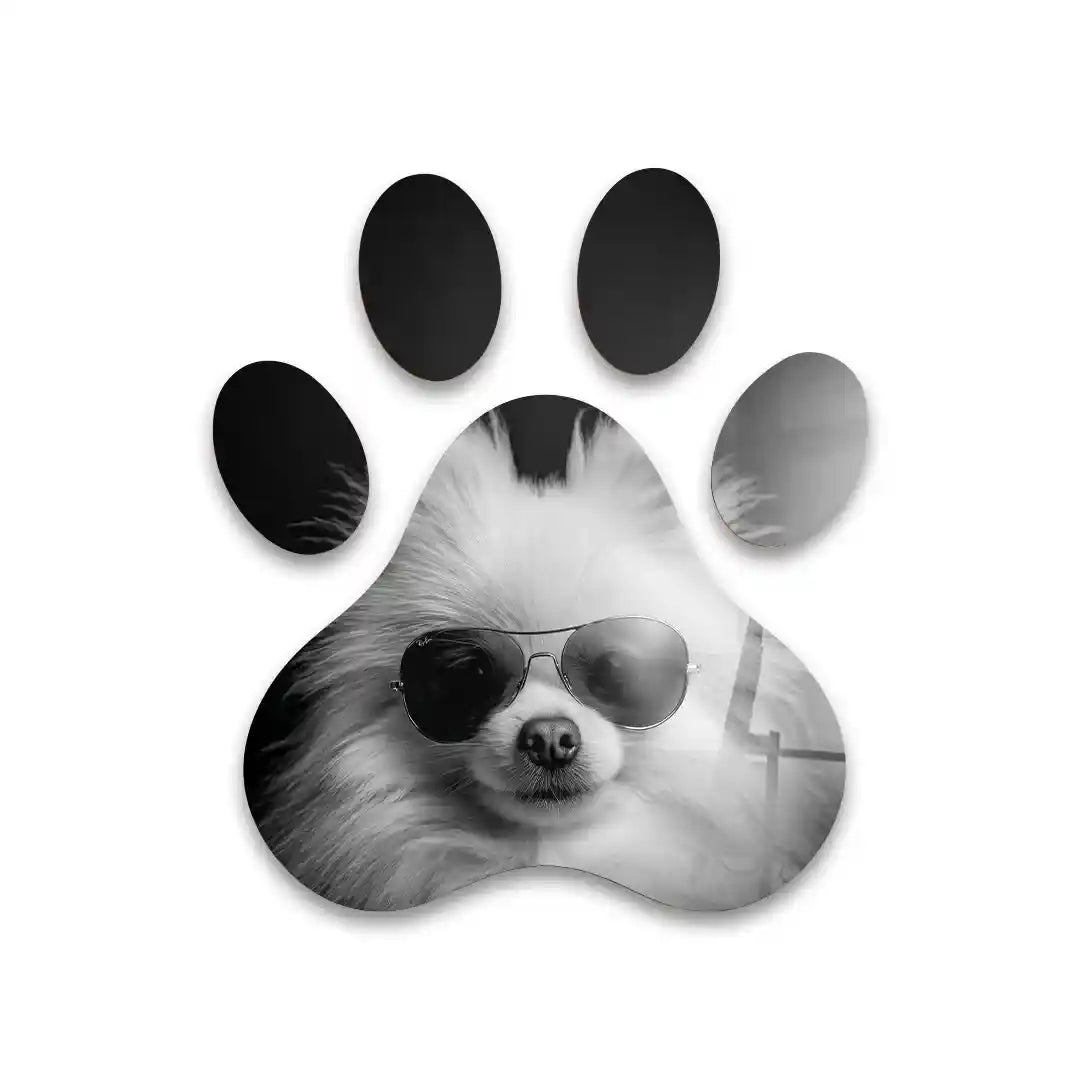 Cuadro Huella Canina | Pomerania con Gafas | Blanco y Negro