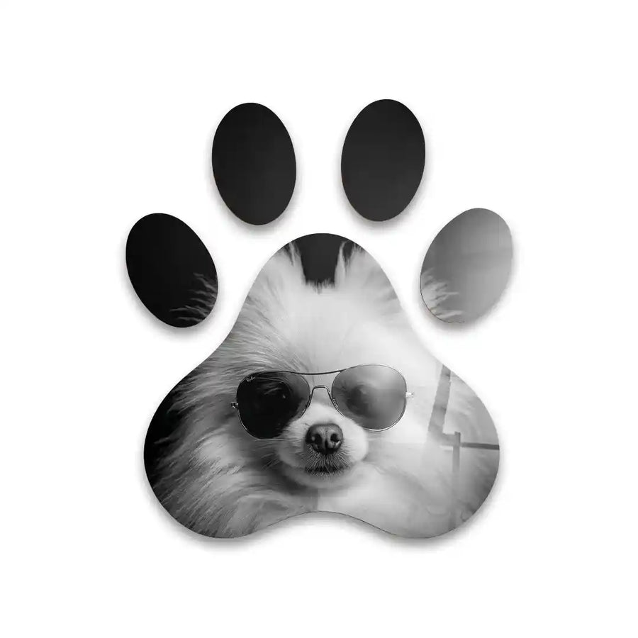 Cuadro Huella Canina | Pomerania con Gafas | Blanco y Negro
