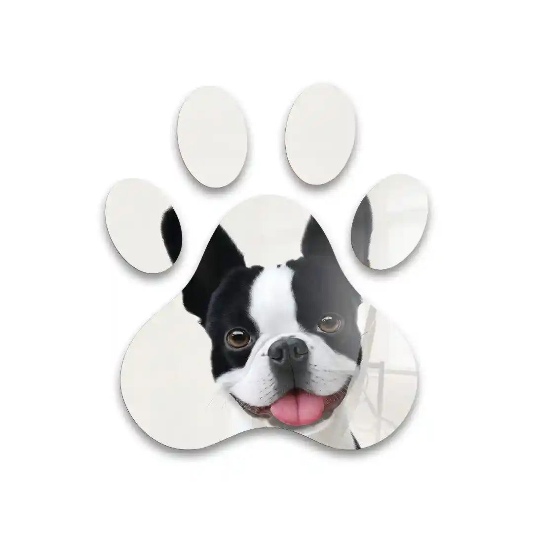 Cuadro Huella Canina | Boston Terrier | Blanco y Negro