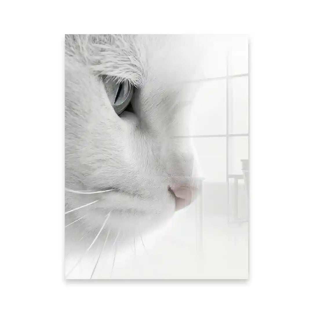 Cuadro Mirada Felina | Pureza Minimalista