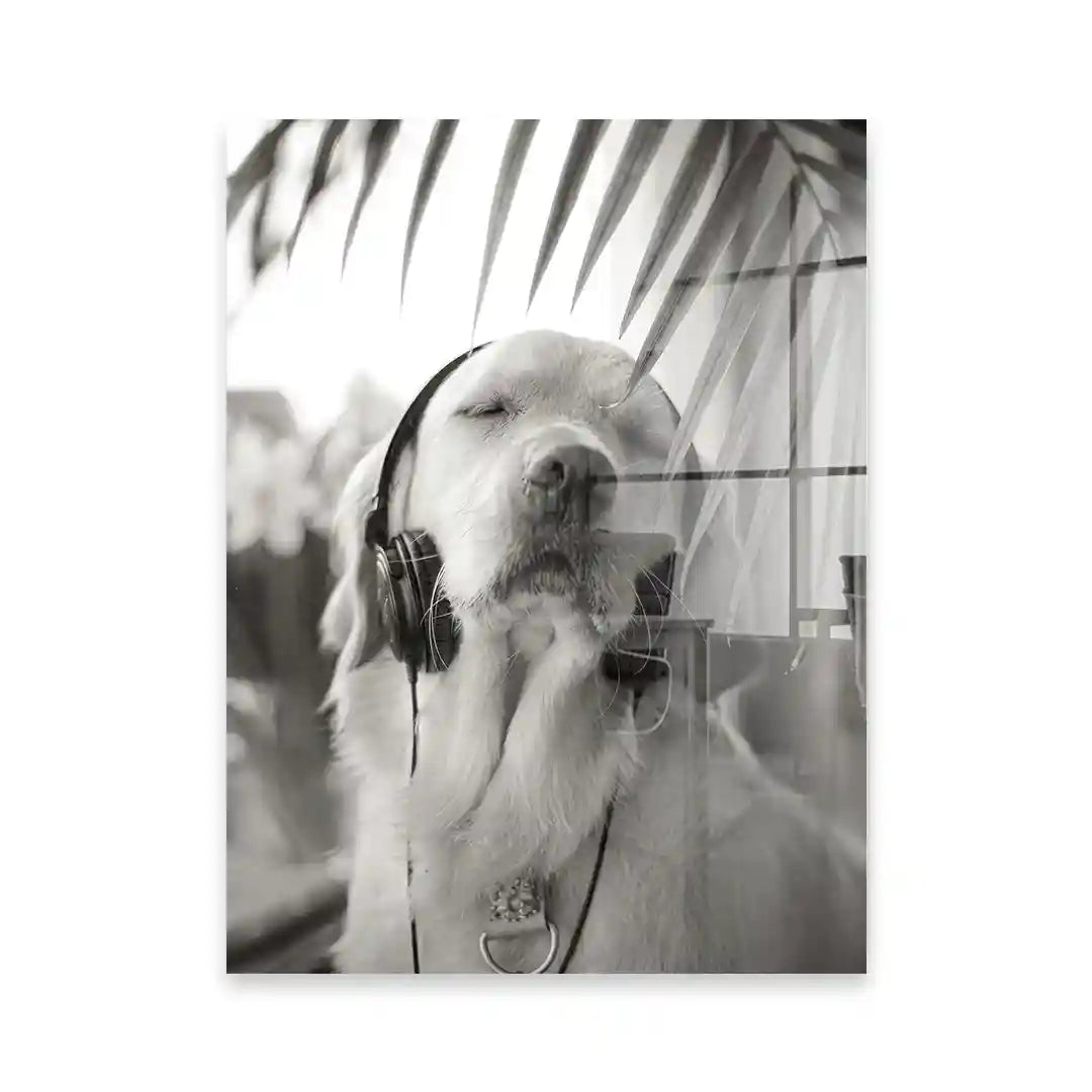 Cuadro Perro con Auriculares | Relax