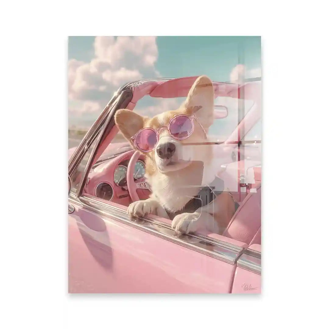 Cuadro Corgi Chic | Paseo Rosa Retro