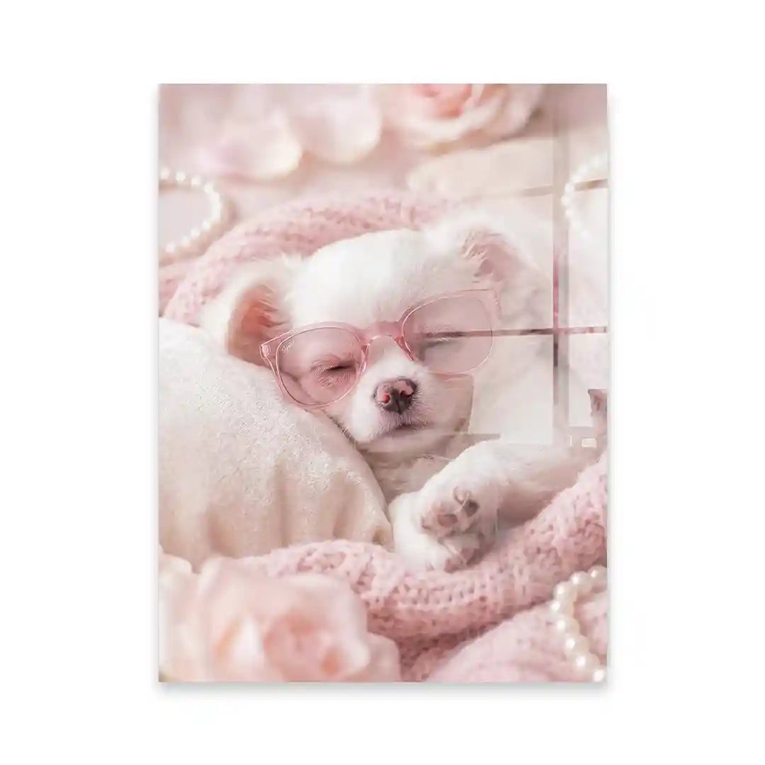 Cuadro Dulces Sueños | Perrito Rosa Chic