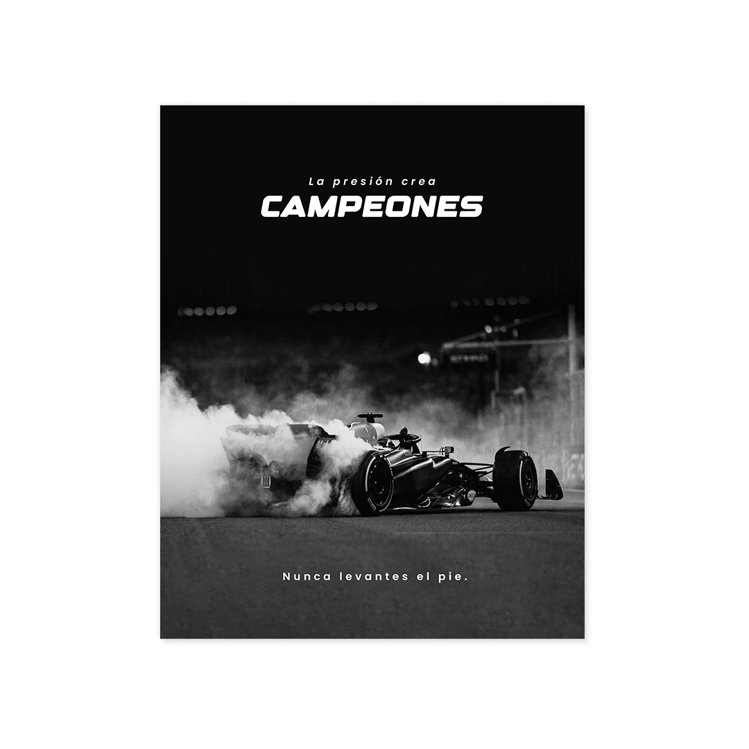 Cuadro Póster Fórmula 1 Campeones | Decoración Automovilística