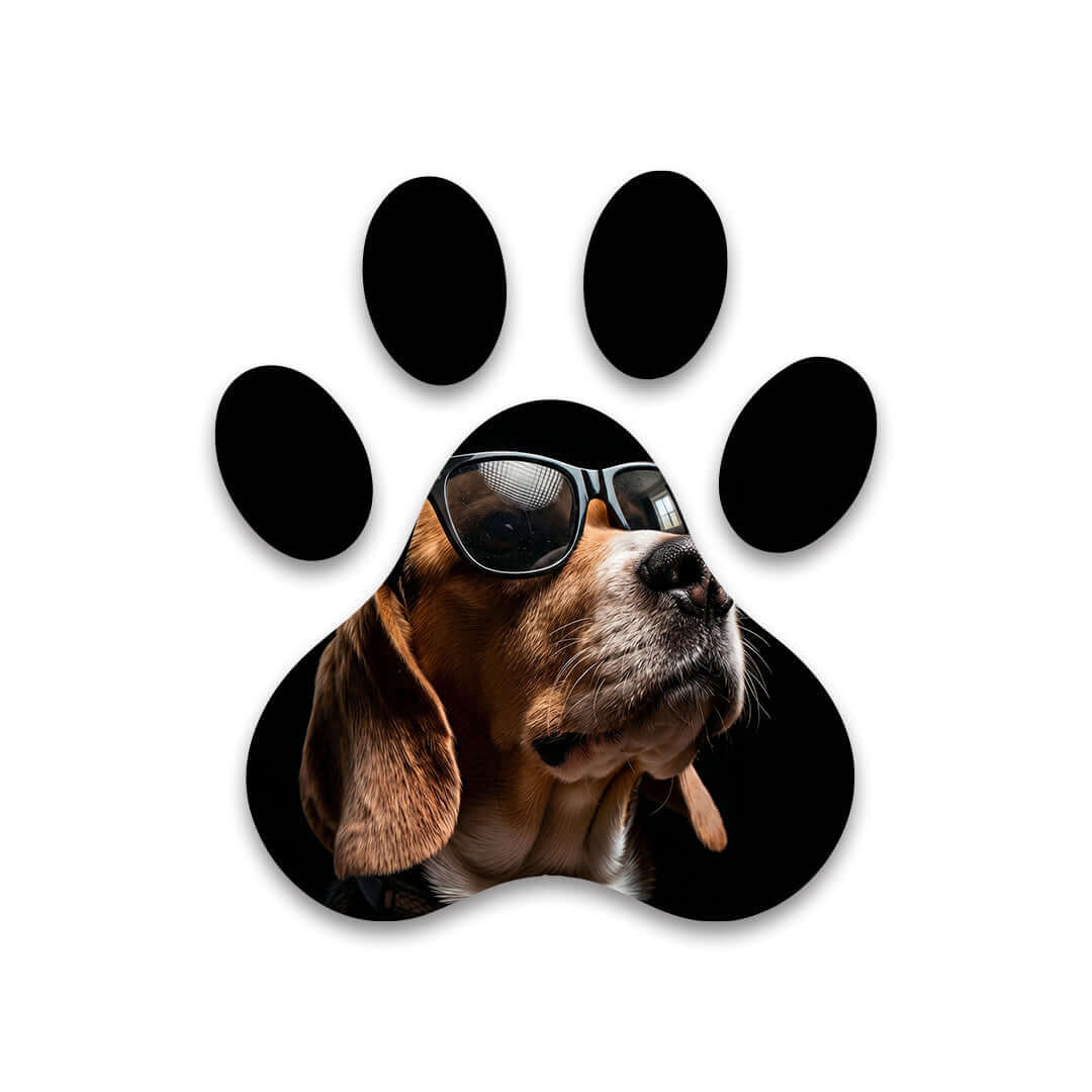 Cuadro Huella de Perro con Gafas | Decoración Original